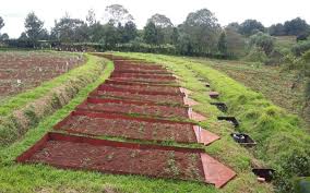 Soil & Water Conservation