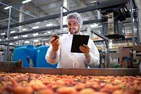 Food Processing & Food Management Service
