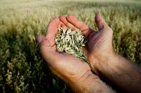 Agriculture & Rural Development