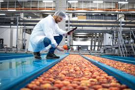 Food Processing & Quality Management